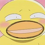 木须柚子的头像