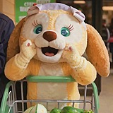用户头像