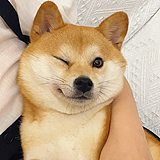 Yahz7的头像