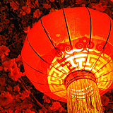 津益科技的头像