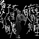 生锈的鸽子的头像