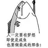 SRDM的头像