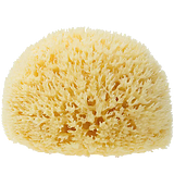 水晶晶9的头像