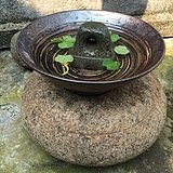 善居室的头像
