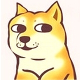 壹條狗的头像