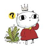 培培Li的头像