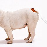 Tinp__的头像