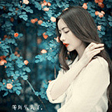 m306917713的头像