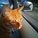 Nicole_空间设计的头像
