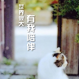 丽丽个站的头像