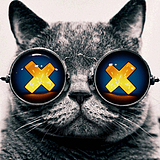 MM小肥猪的头像