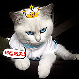 如涵准准的头像