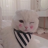 芬达不能喝的头像