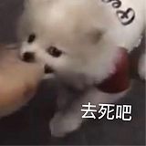 曹亚威的头像