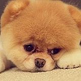 H_Justen的头像