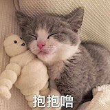 喵__小懒的头像