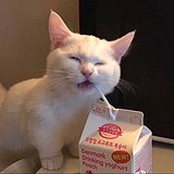 1995_Cc的头像