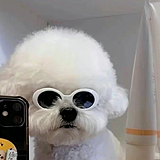 你别瞪着我的头像