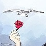 途渡的头像