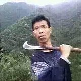 iilinii的头像