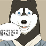 wp天蓝若空的头像