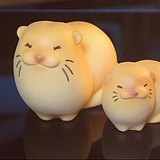000QXS的头像