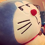 小苏爱吃鱼的头像