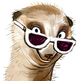 hippooo的头像