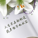小雅88的头像