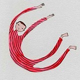 葡萄柚子蜜的头像