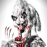 battlewolf的头像