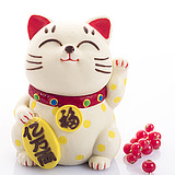 莫夫的头像