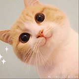 欢么的头像