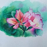 金光闪闪小元宝的头像