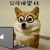 黑夜酱1的头像