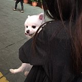 Kaytlyn的头像