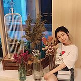 安娜瞳话的头像