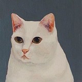 Anybb的头像