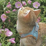 今天你设计了吗ii的头像