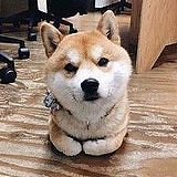 123456he的头像