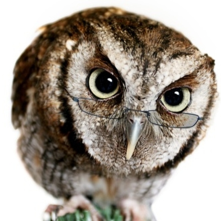 3453 人气 4 创作 19 粉丝 23 关注 创作 资料 花哥 ee2816769 150 5