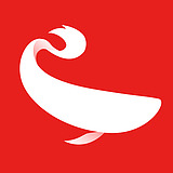 HOYA_DESIGN的头像
