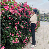 Zyyer丨zhou的头像