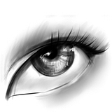sylina_lin的头像