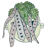 朝小野的头像