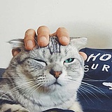 Qiller的头像
