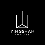 影山视觉的头像