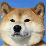 zzTLON的头像