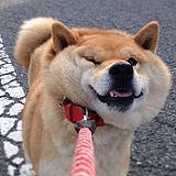 Nlgod的头像