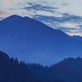 Frejawang的头像